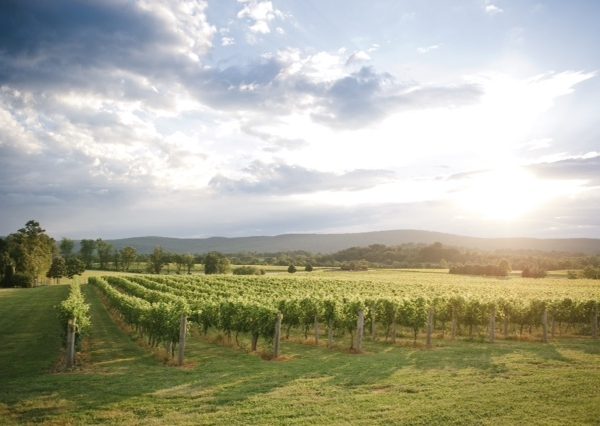 Breaux Vineyards Breaux Vineyards