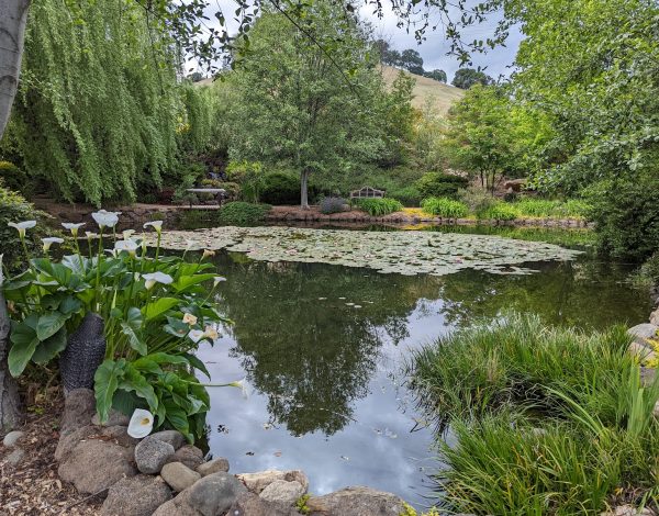 Reception Venues Listing Category DALTON RANCH DALTON RANCH