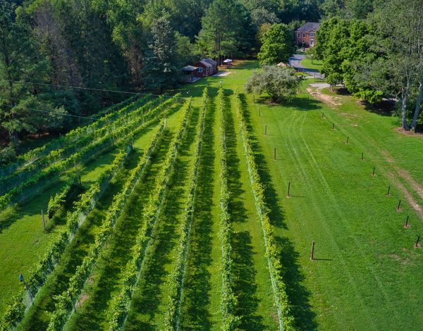 Eden Try Winery Eden Try Winery