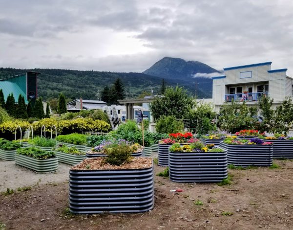 Reception Venues Listing Category Historic Skagway Inn Historic Skagway Inn