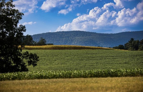 Alpine Acres Wedding and Event Venue Alpine Acres Wedding and Event Venue Gallery 1