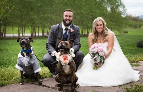 McGuires Millrace Farm McGuires Millrace Farm Gallery 12