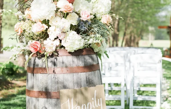 McGuires Millrace Farm McGuires Millrace Farm Gallery 17