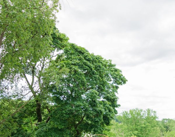 Reception Venues Listing Category Montagu Meadows Montagu Meadows