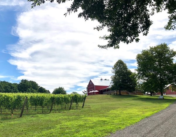 Robin Hill Farm and Vineyards Robin Hill Farm and Vineyards