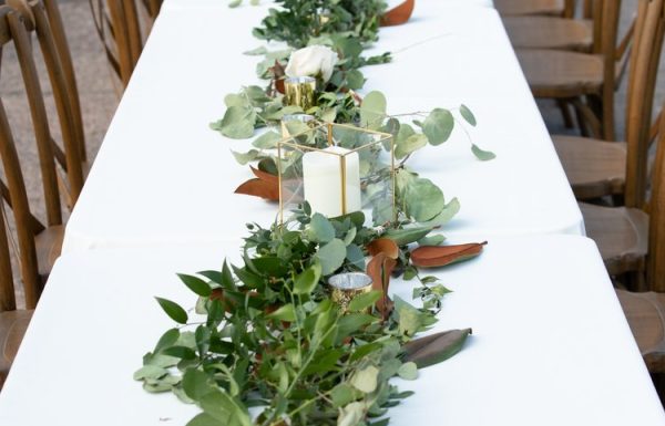 Modern Farmhouse Strauss Cabin Farmhouse Gallery 6