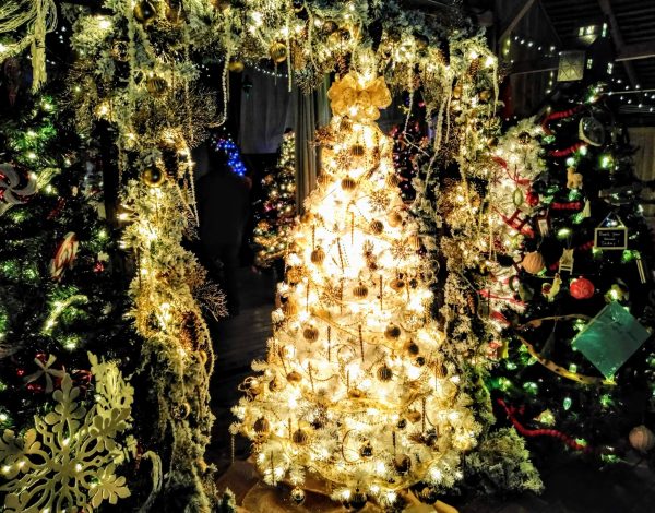 The Historic Springfield Barn The Historic Springfield Barn