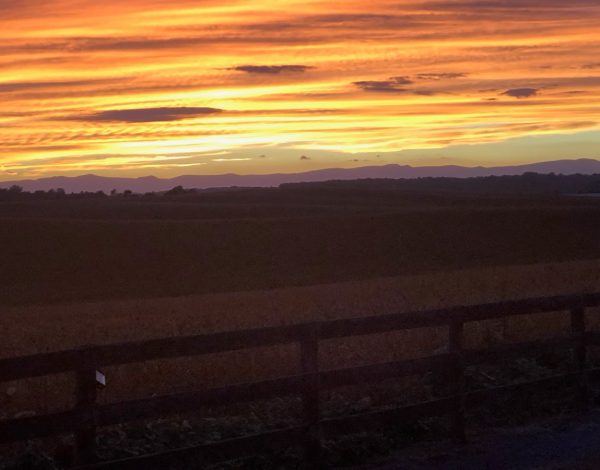 Reception Venues Listing Category The Mulberry at Old Trade Farm The Mulberry at Old Trade Farm