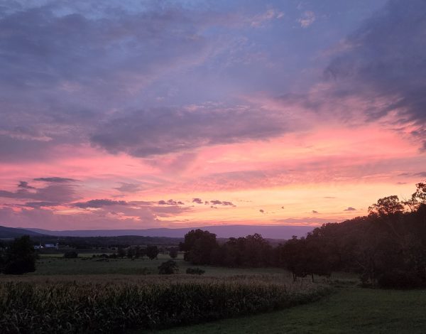 Reception Venues Listing Category The Pavilion at Shenandoah Woods The Pavilion at Shenandoah Woods