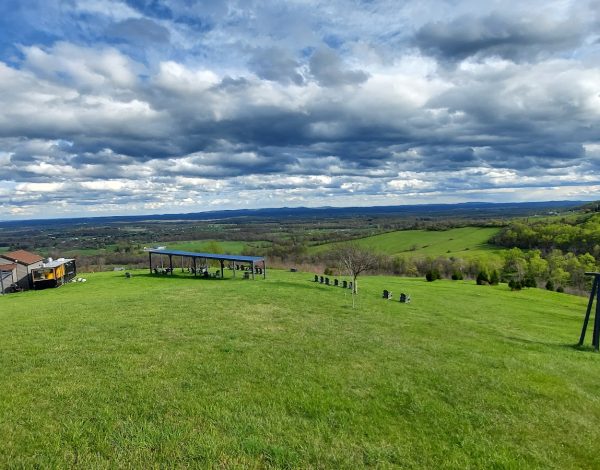 The Reserve at Bluemont Vineyard The Reserve at Bluemont Vineyard