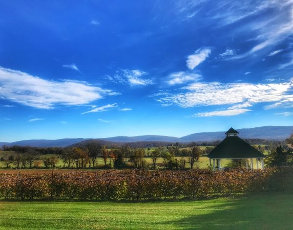 Veramar Vineyard Veramar Vineyard