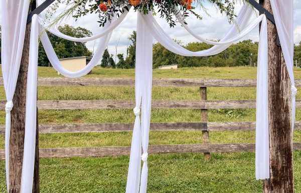 The Barns at Maple Valley Farm LLC Gallery 6