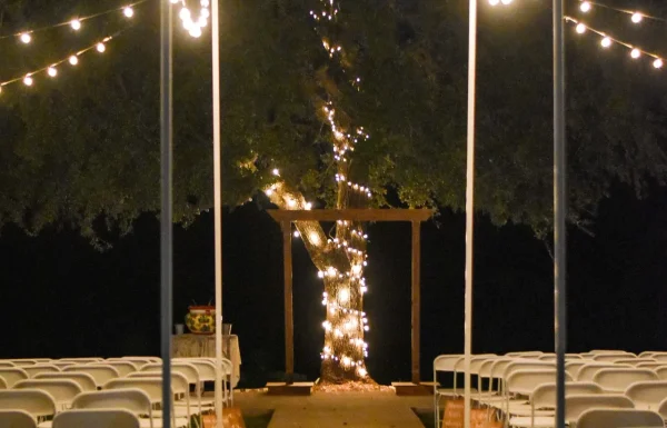 Monarch Meadows Farm Monarch Meadows Farm Gallery 3