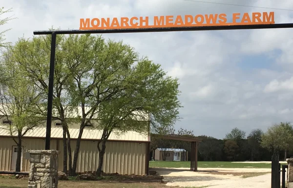 Monarch Meadows Farm Monarch Meadows Farm Gallery 7