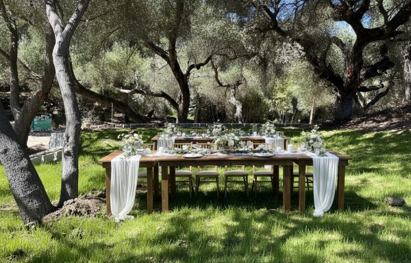 A Serene Setting for Timeless Temecula Weddings Gallery 2