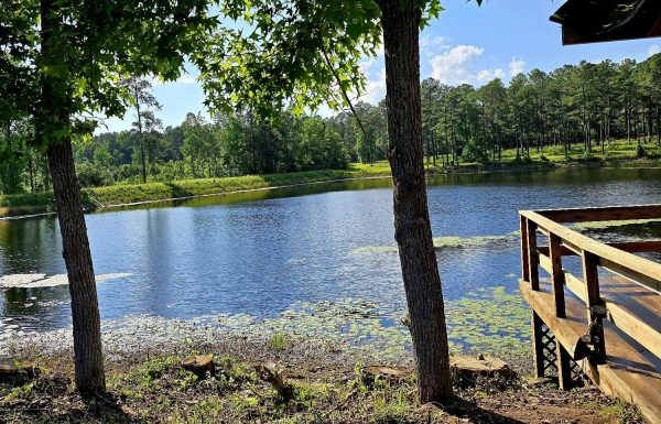 Pilson Acres Gallery 1