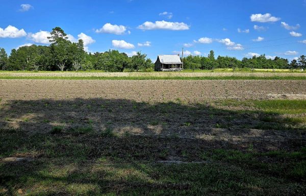 Pilson Acres Gallery 3