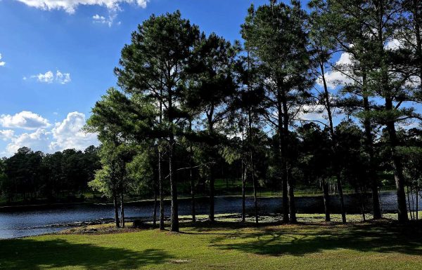 Pilson Acres Gallery 5