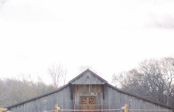 Cedar Springs at Bone Hollow Gallery 0